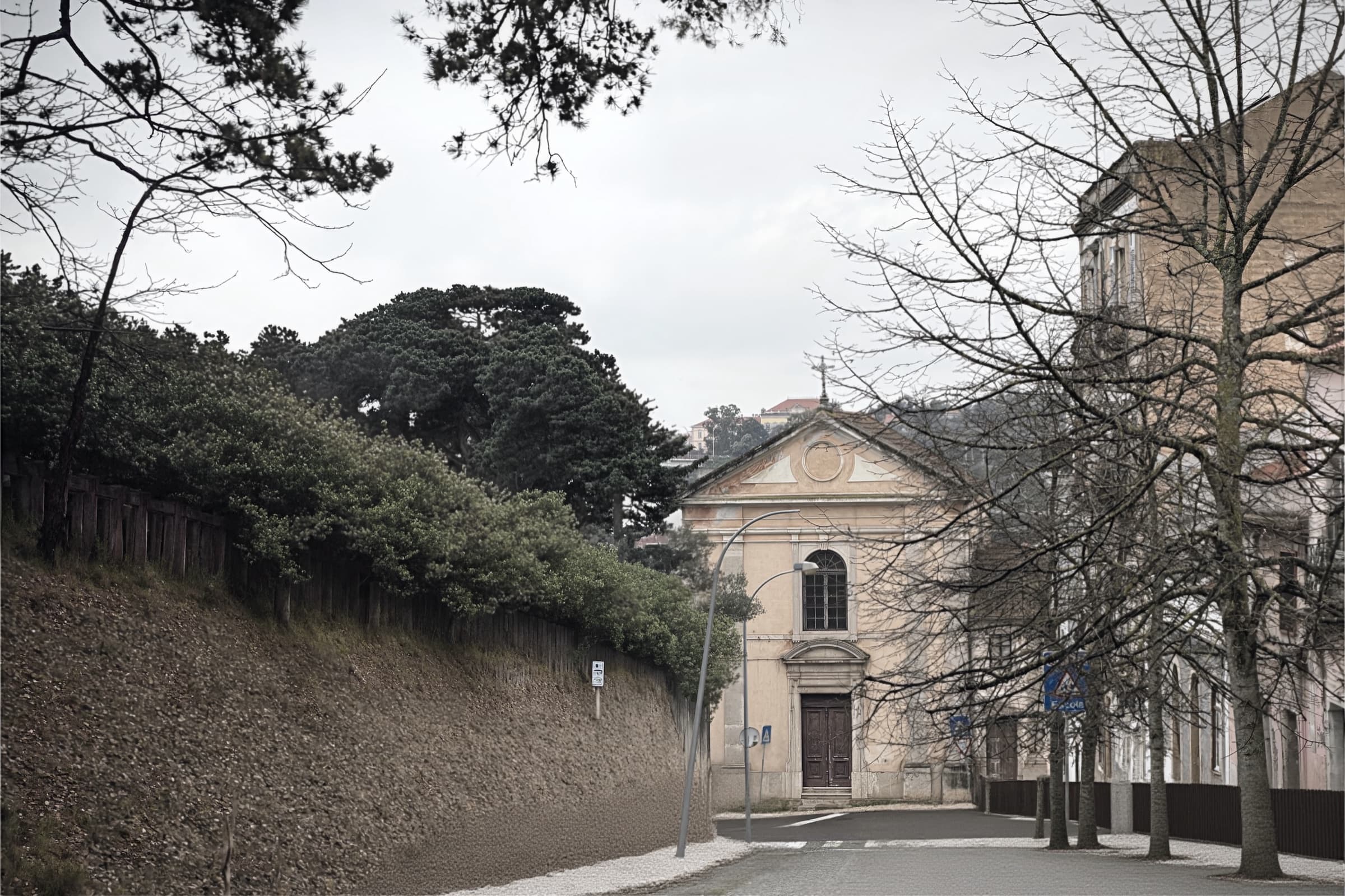 A quiet Lisbon street facing an abandoned facade and trees in muted winter light.